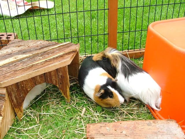 DSCF3073.jpg