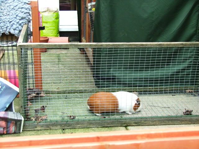DSCF3953.jpg