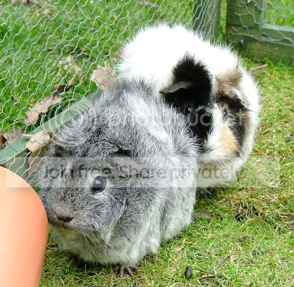 AprilandMaise.jpg