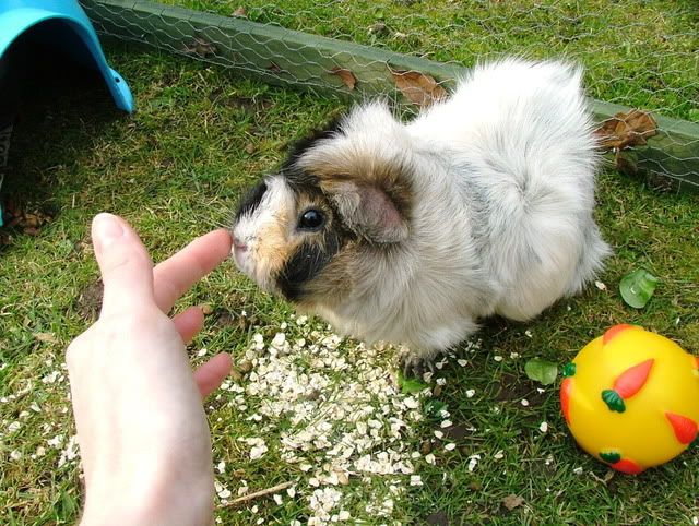 MeandMaisiemoo.jpg