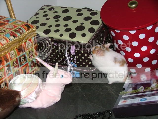 DSCF2959.jpg