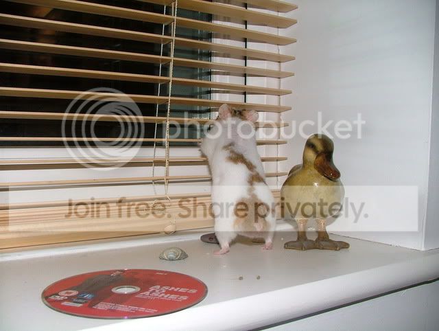 DSCF2964.jpg
